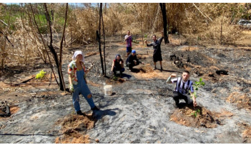 Em Lucélia, voluntários atuam para recuperar área degradada por incêndios no Salto Botelho