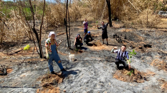 Em Lucélia, voluntários atuam para recuperar área degradada por incêndios no Salto Botelho