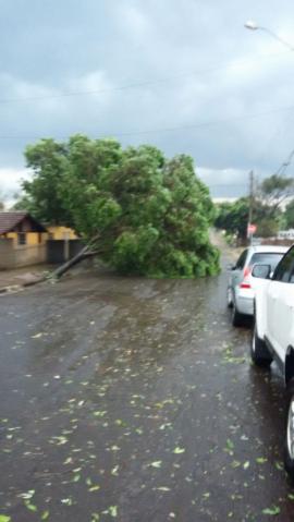 Tromba d´água avança do rio Paraná e se transforma em tornado ao destruir parte de Panorama