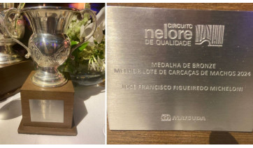 Três Barras conquista bronze em concurso nacional da Associação dos Criadores de Nelore do Brasil