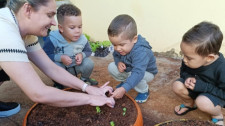 Em Adamantina, Emei Criança Feliz implanta horta com a participação de crianças