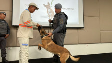 Prevenção a ataques de cão: leituristas da Energisa passam por treinamento com o Canil do 8º Baep 