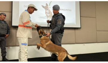 Prevenção a ataques de cão: leituristas da Energisa passam por treinamento com o Canil do 8º Baep 