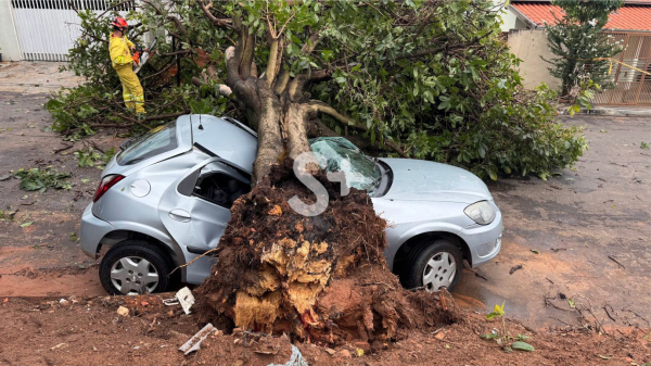 ?rvore cai e atinge carro no Jd. Adamantina (Siga Mais).