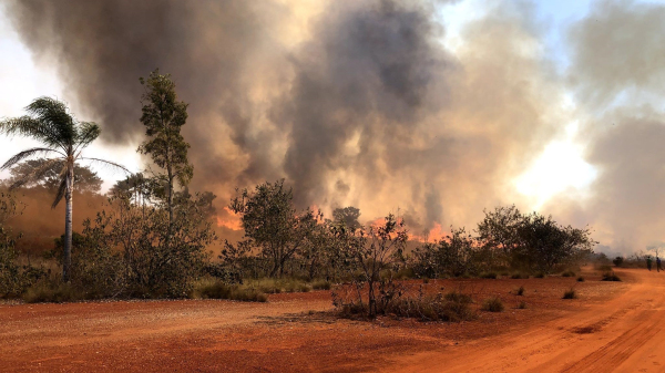 Governo de SP mantem alerta para incendios em diferentes regioes de SP (Imagem: Gov SP).