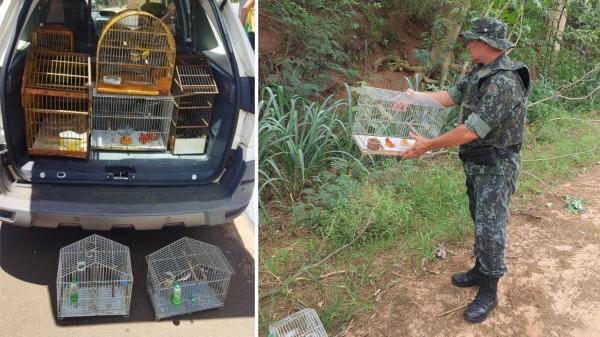 Aves resgatadas foram soltas pelos policiais (Cedida/PM Ambiental).