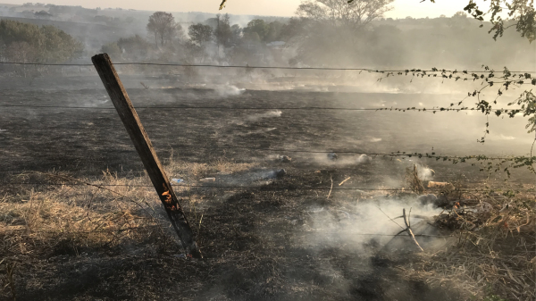 Estragos do fogo podem ter afetado area de 10 mil hectares (Cedida).