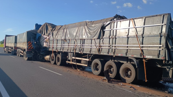 Motorista morreu no local (Cedida/PM Rodoviaria).