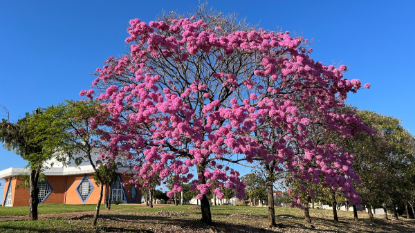 (Arquivo/Siga Mais).