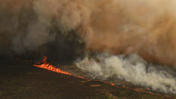 (Foto: Joedson Alves/Agencia Brasil).