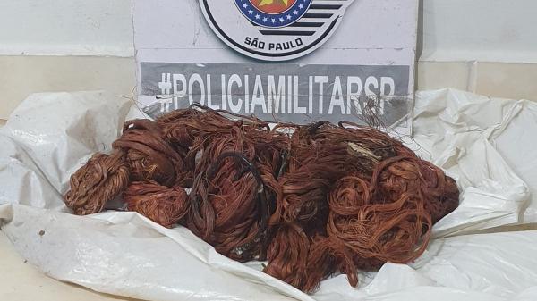 Fios de cobre recuperados pela Policia Militar (Cedida/PM).