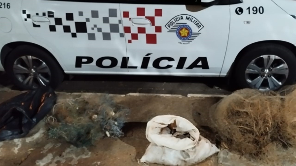 Peixes encontrados pelo policiamento (Cedida/PM).